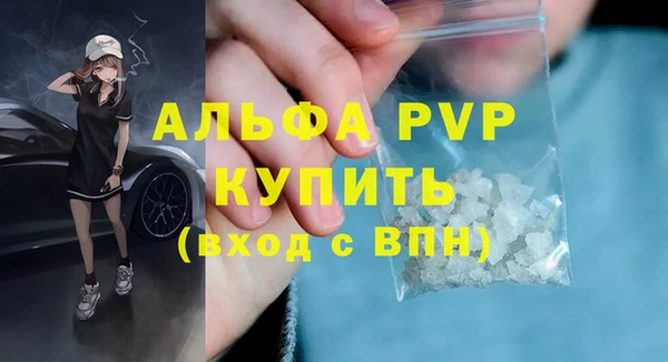 дживик Каменногорск