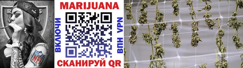 Купить закладки  Заполярный  Канабис сатива 
